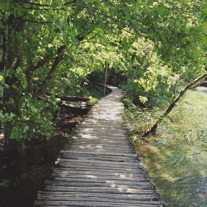 Pathway in Plitvice