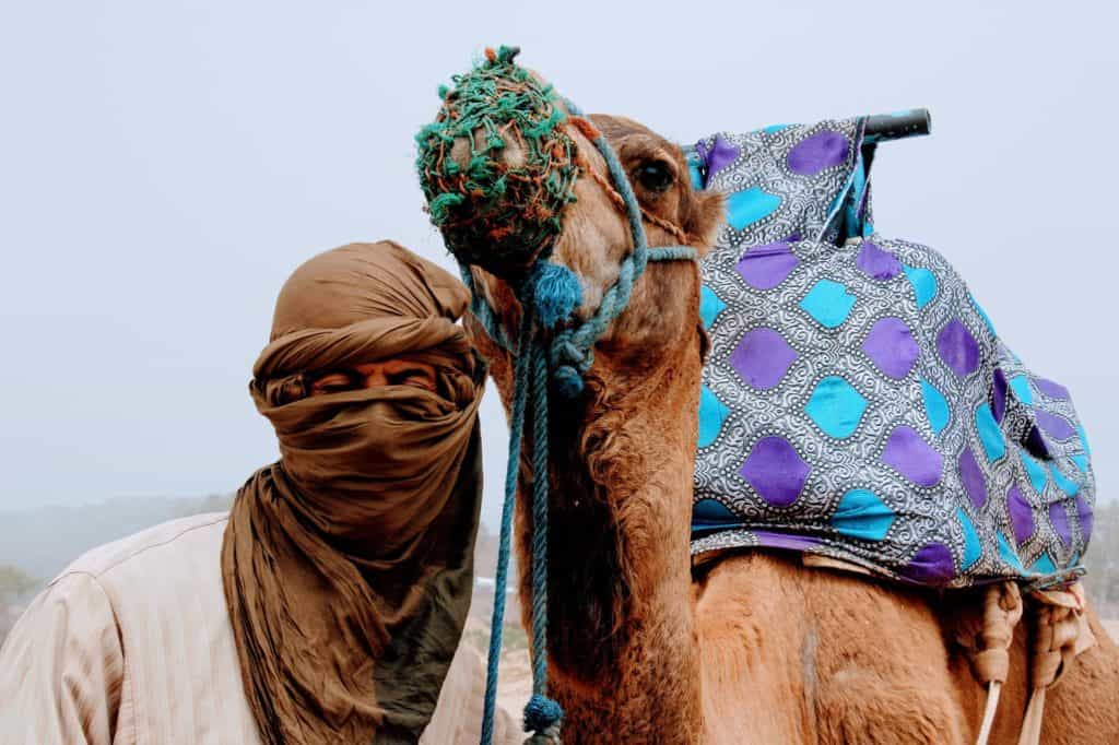 Nomad and camel in Morocco
