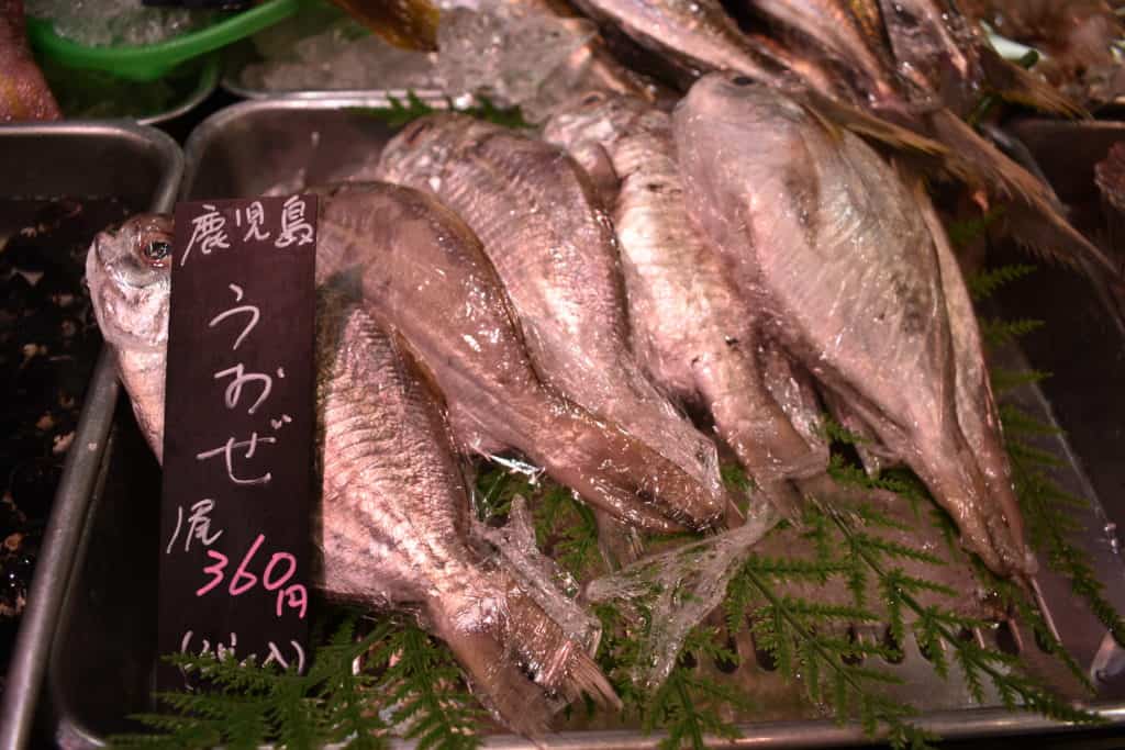 Dead fish in a food court in a department store, Osaka