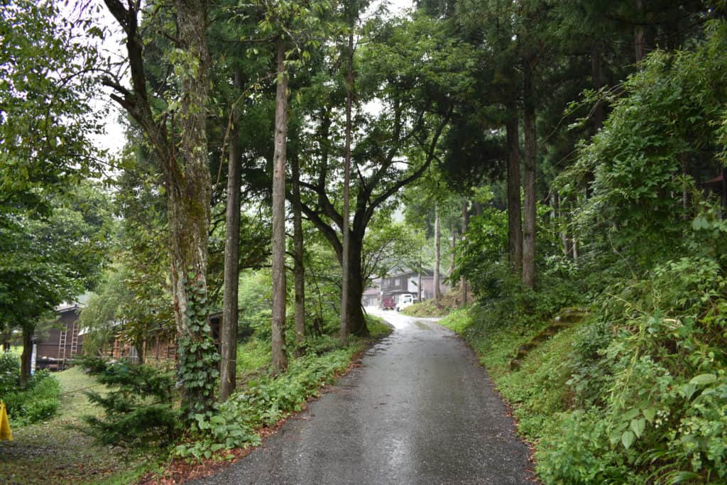 Walking trail through the forest that leads you to the observation deck of Shirakawa-go
