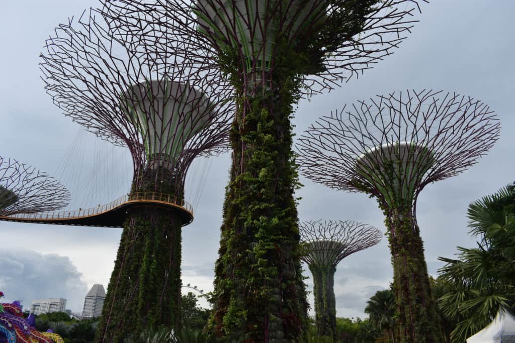 The Supertree Grove in Gardens By The Bay (Singapore)