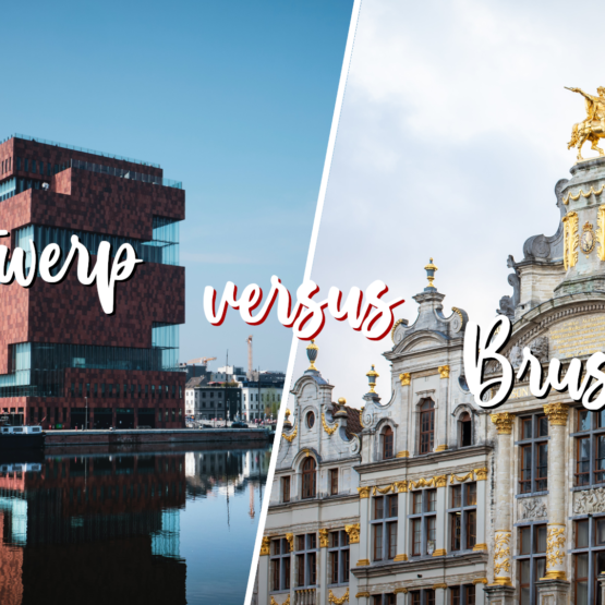 Should you visit Antwerp or Brussels?
